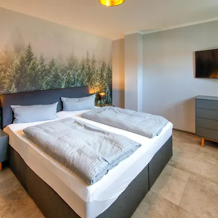 Auszeit-im-harz Haus 6 Feriehus