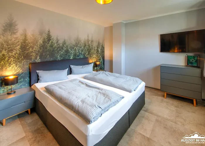 Auszeit-im-harz Haus 6 Feriehus